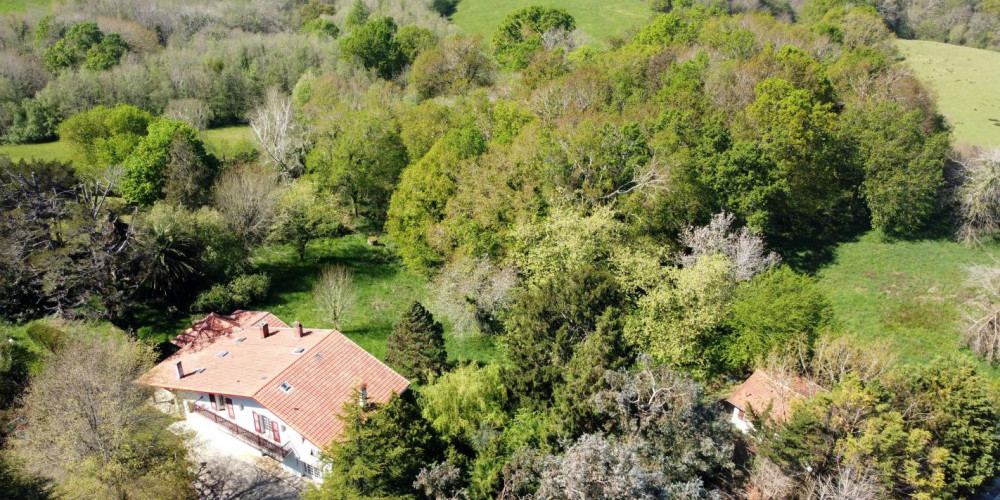 maison à ST PEE SUR NIVELLE (64310)
