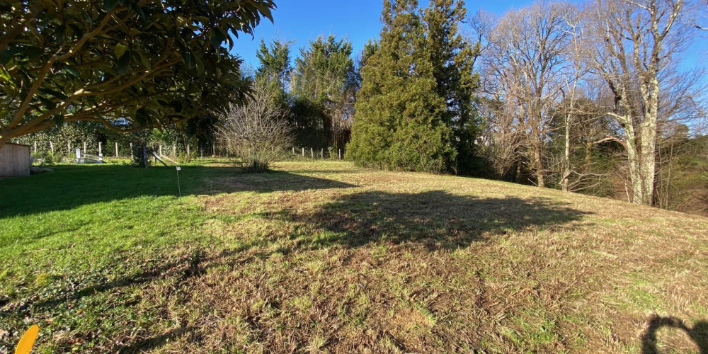 terrain à ASCAIN (64310)