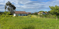 terrain à ST PIERRE D IRUBE (64990)