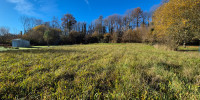 terrain à LIVRON (64530)