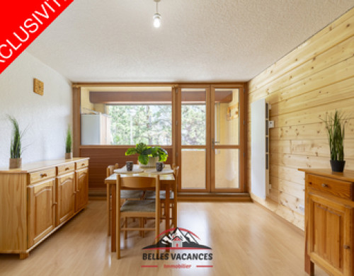 appartement  ST LARY SOULAN