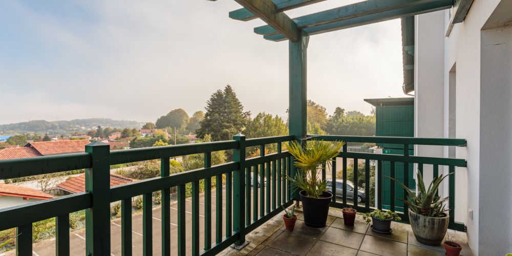 appartement à ST PIERRE D IRUBE (64990)