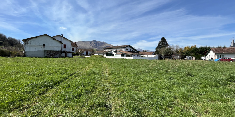 terrain à ASCARAT (64220)