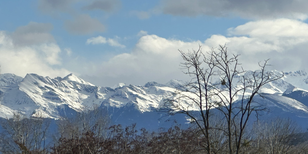 maison à ARTIGUELOUTAN (64420)