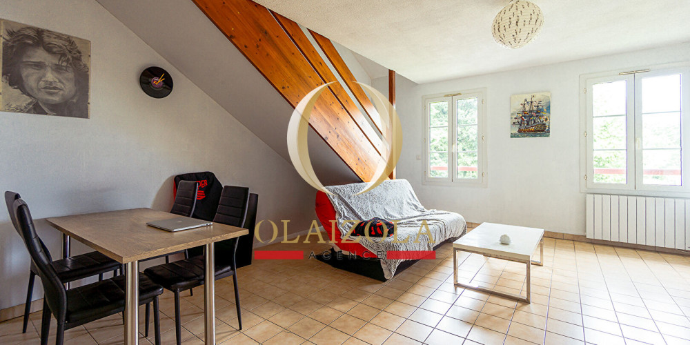 appartement à ST PEE SUR NIVELLE (64310)