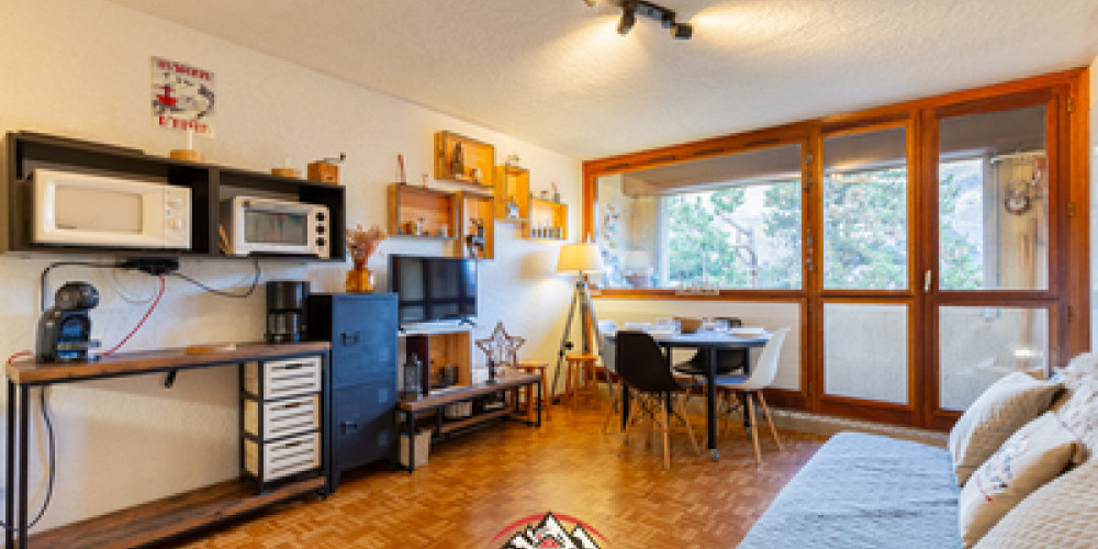 appartement à ST LARY SOULAN (65170)