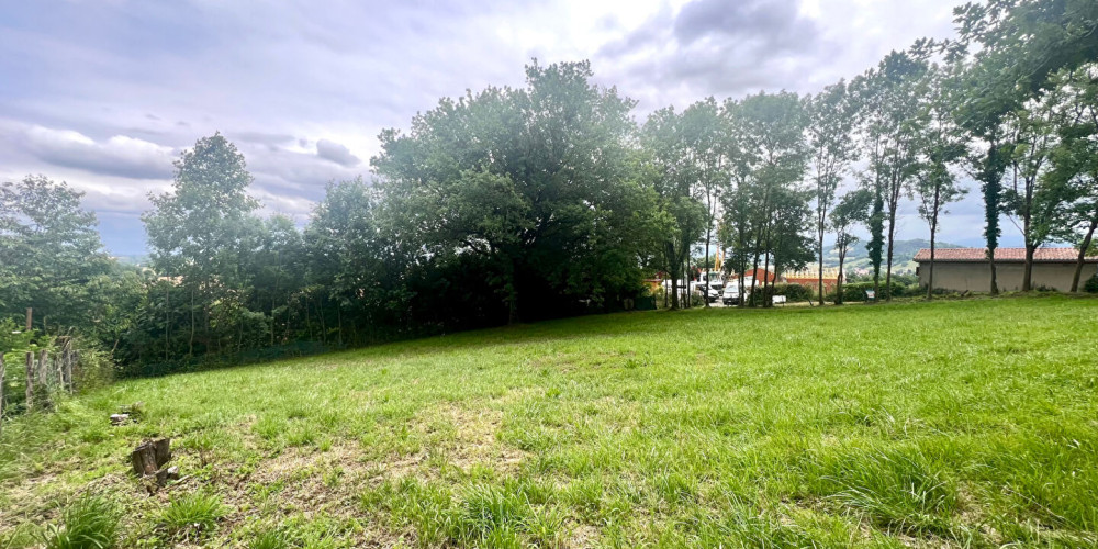terrain à AMENDEUIX ONEIX (64120)