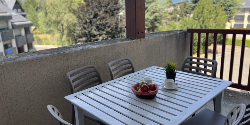 appartement à ST LARY SOULAN (65170)