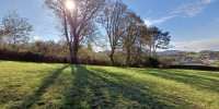terrain à ASCAIN (64310)