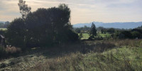 terrain à BOURDETTES (64800)