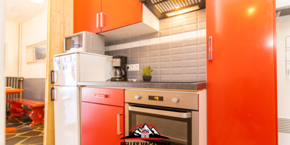 appartement à ST LARY SOULAN (65170)