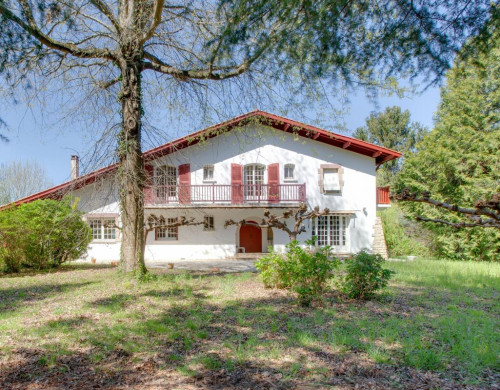 maison  ST PEE SUR NIVELLE