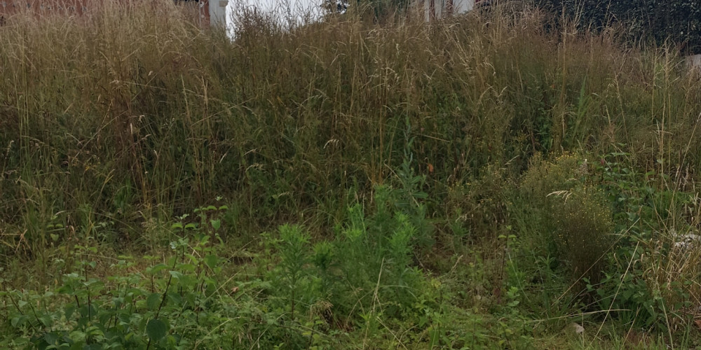 terrain à URRUGNE (64122)