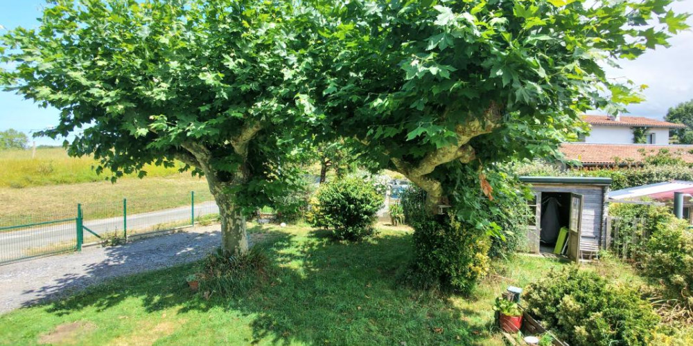 appartement à AHETZE (64210)