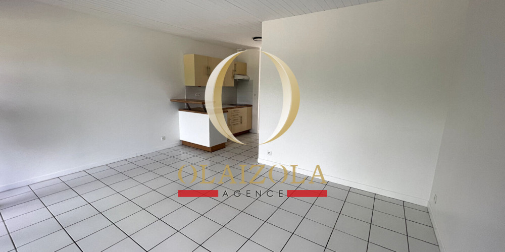 appartement à ST PEE SUR NIVELLE (64310)