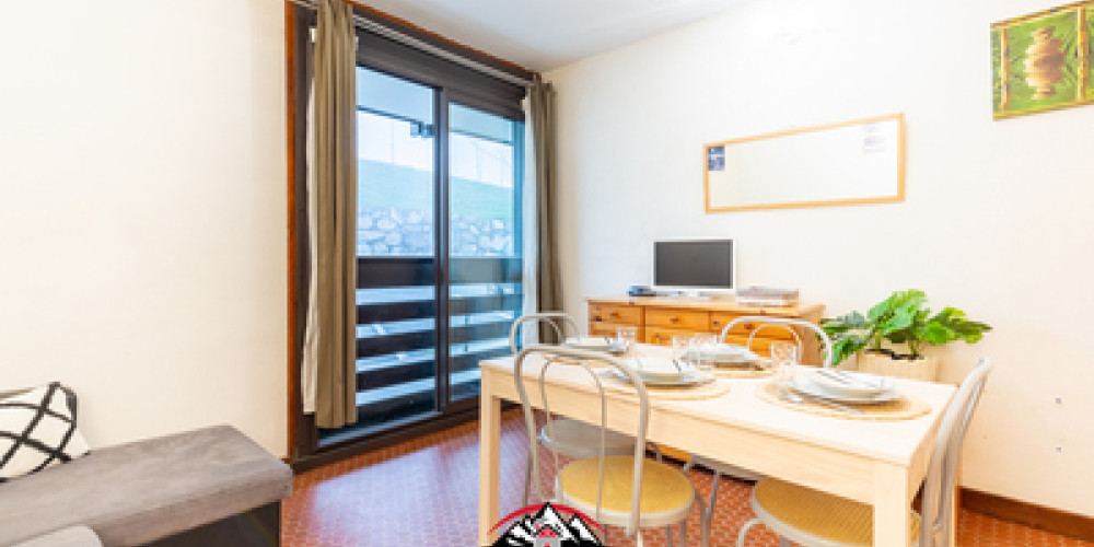 appartement à ST LARY SOULAN (65170)