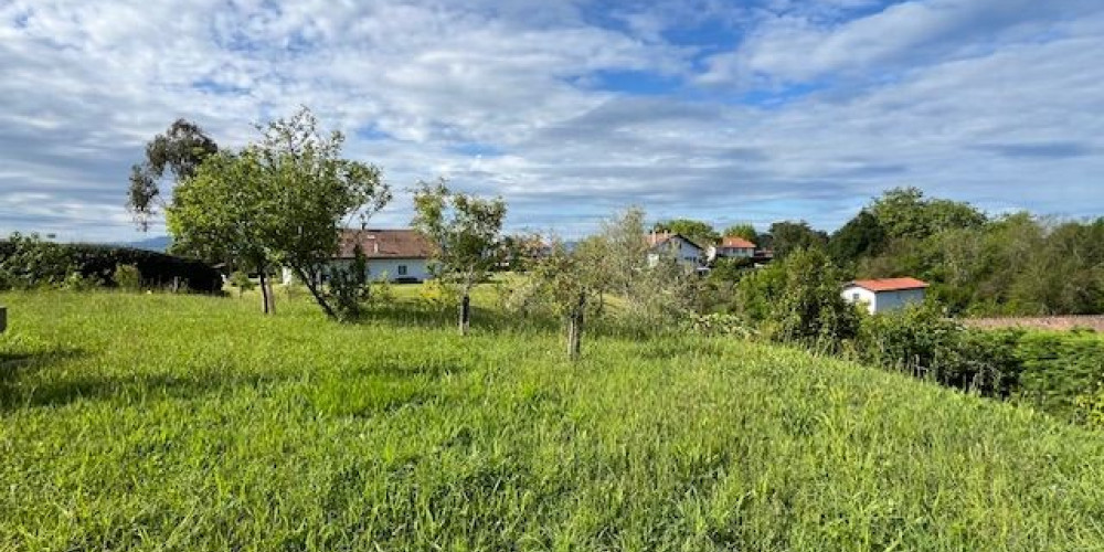 terrain à ST PIERRE D IRUBE (64990)