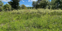 terrain à URCUIT (64990)