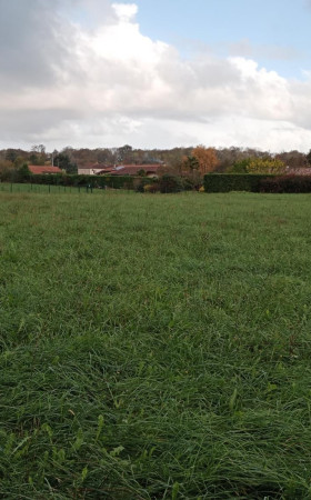 Terrain  SAULT DE NAVAILLES