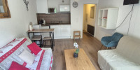appartement à ST LARY SOULAN (65170)