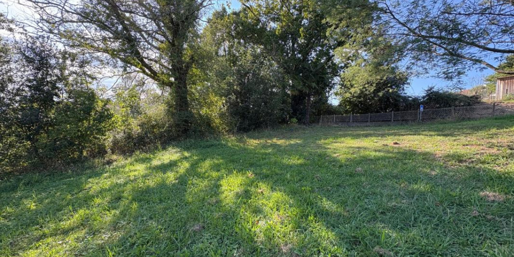 terrain à HALSOU (64480)