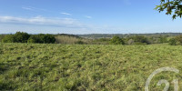 terrain à ORTHEZ (64300)