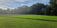 terrain à URRUGNE (64122)