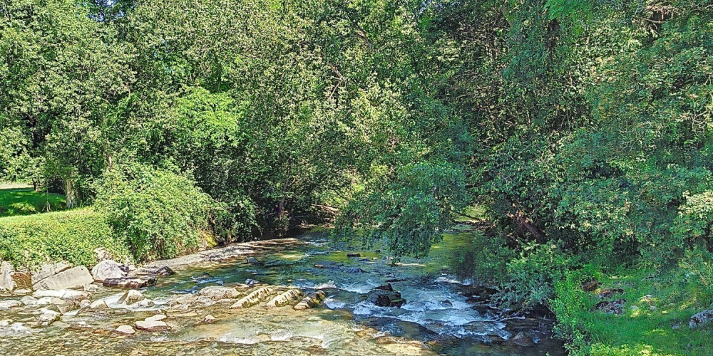 terrain à IGON (64800)