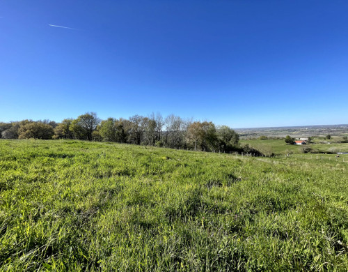 terrain  BIDACHE