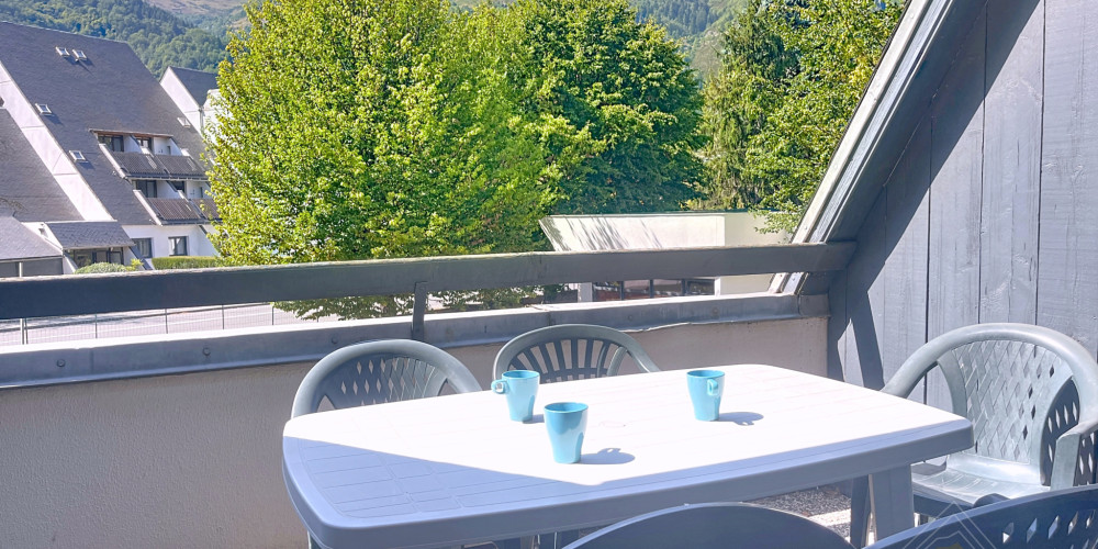 appartement à ST LARY SOULAN (65170)