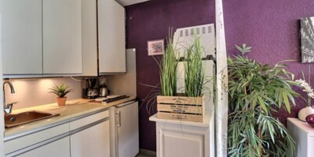 appartement à ST LARY SOULAN (65170)