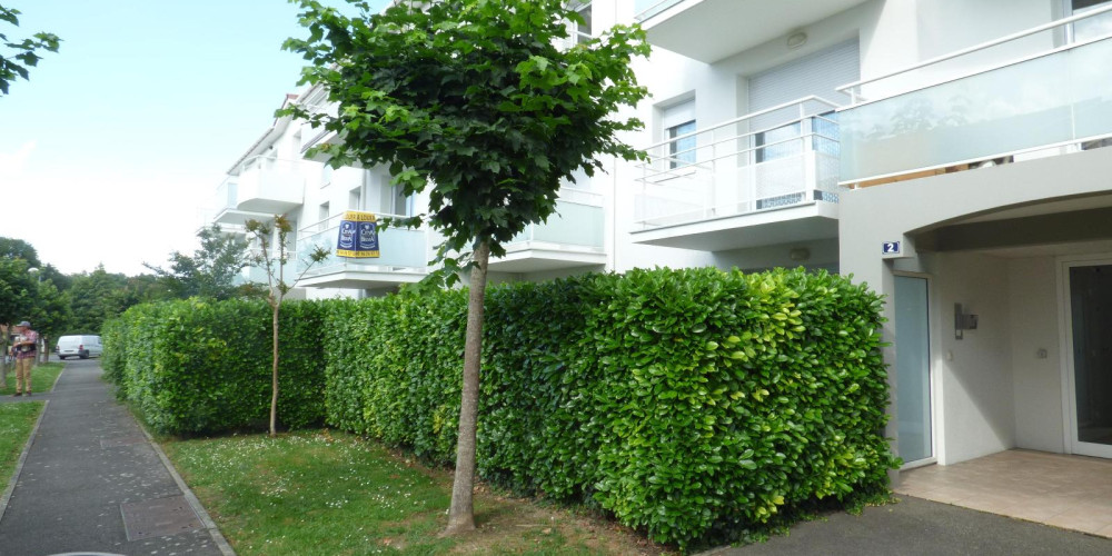 appartement à PAU (64000)