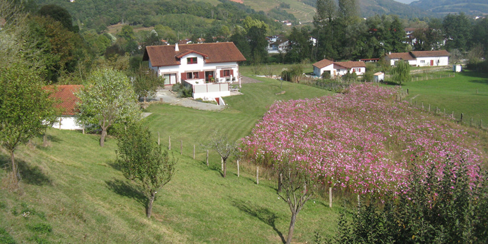 maison à ST JEAN PIED DE PORT (64220)