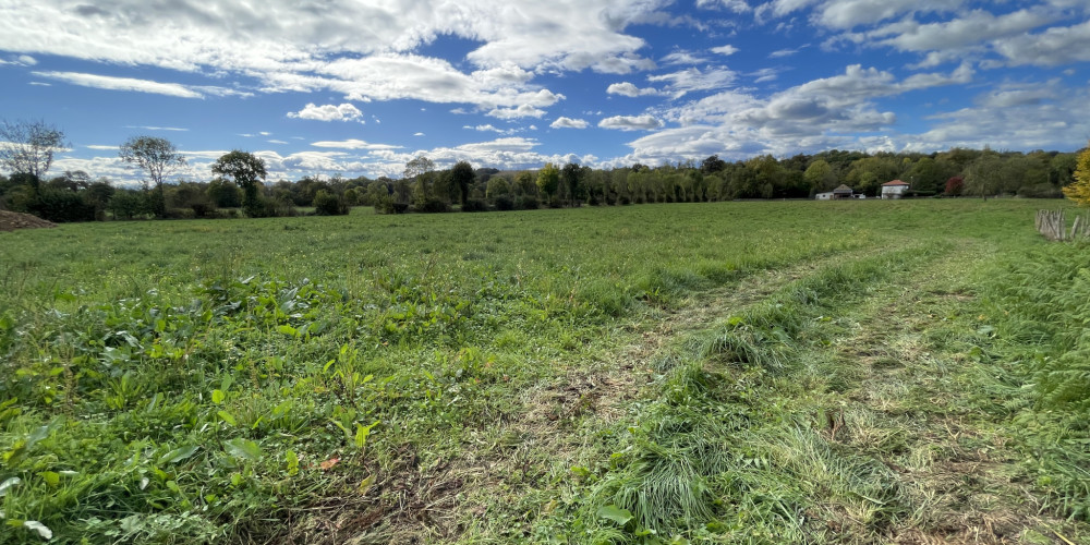 terrain à ARTIGUELOUTAN (64420)