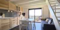 appartement à ST LARY SOULAN (65170)