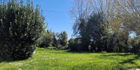 maison à PUYOO (64270)