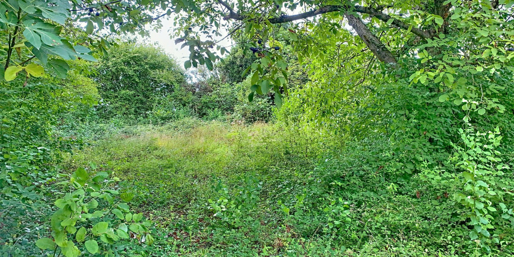 terrain à SENDETS (64320)