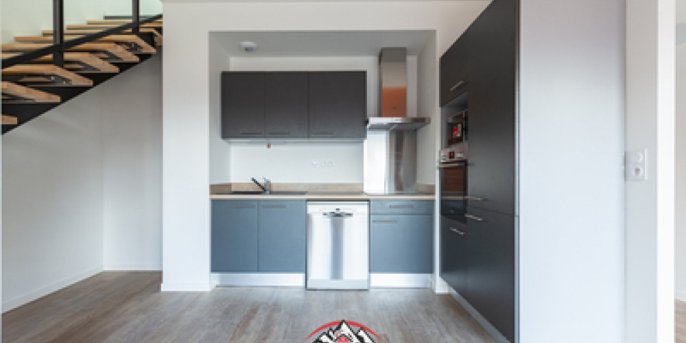 appartement à ST LARY SOULAN (65170)