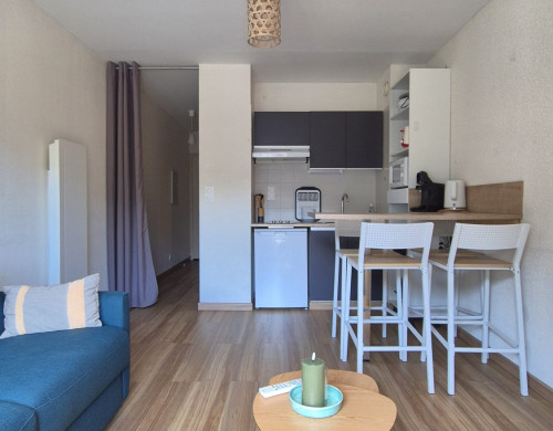 appartement  ST LARY SOULAN