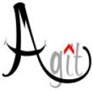 AGIT IMMOBILIER