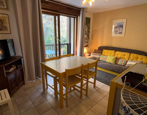 appartement  ST LARY SOULAN