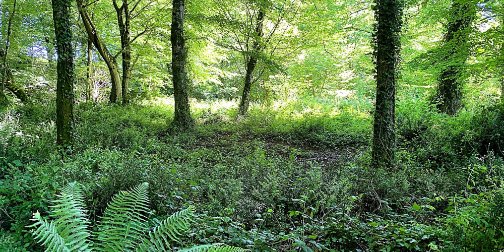 terrain à CASTETIS (64300)