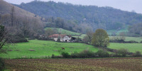 maison à ST MARTIN D ARBEROUE (64640)