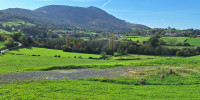 terrain à HELETTE (64640)
