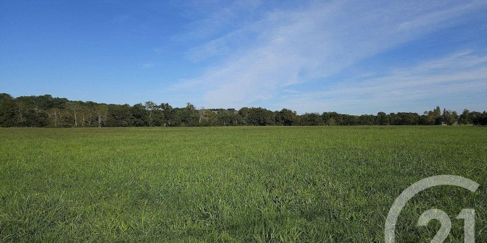 terrain à SAULT DE NAVAILLES (64300)