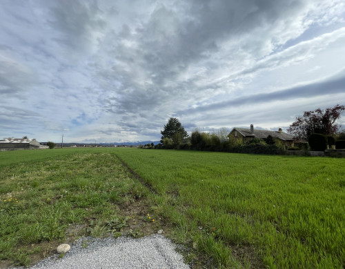 terrain  BORDES