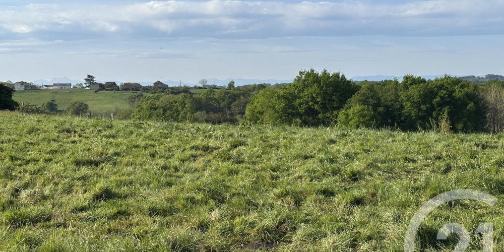 terrain à ORTHEZ (64300)