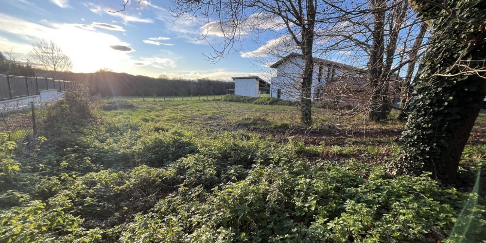 terrain à ARBONNE (64210)