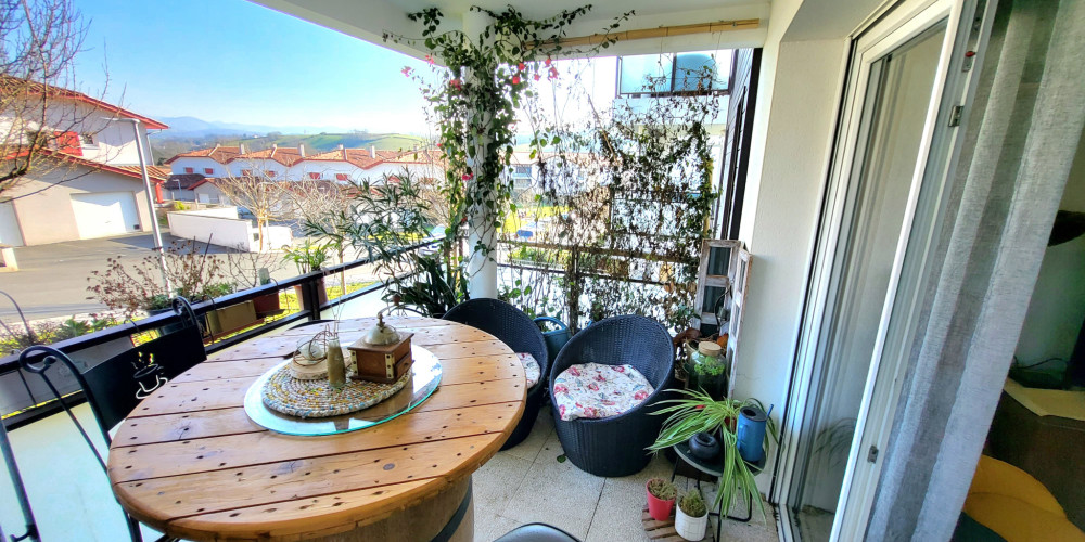 appartement à ST PEE SUR NIVELLE (64310)