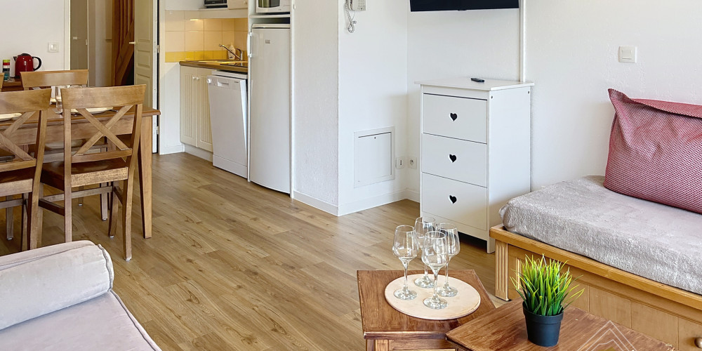 appartement à ST LARY SOULAN (65170)